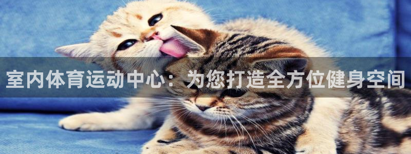 必威betway西汉姆联：室内体育运动中心：为您打造全方位健身空间