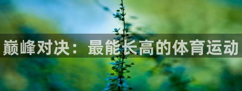 betway西汉姆：巅峰对决：最能长高的体育运动