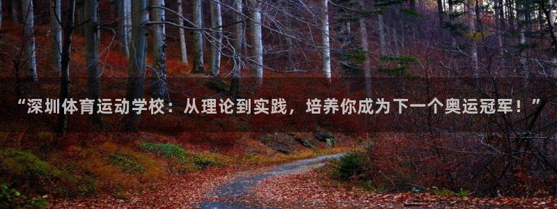 betway西汉姆联