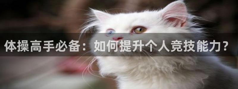 betway西汉姆官网：体操高手必备：如何提升个人竞技能力？