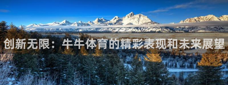 betway西汉姆联