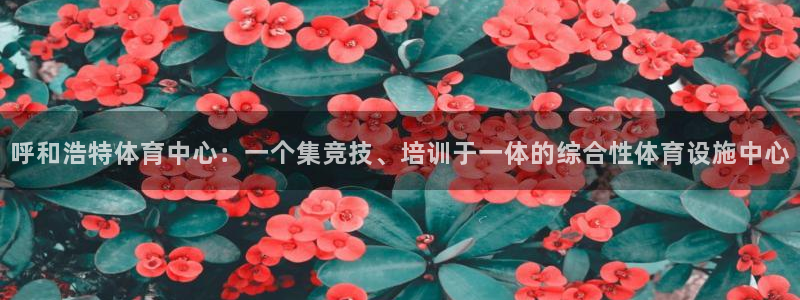 betway西汉姆官网：呼和浩特体育中心：一个集竞技、培训于一体的综合性体育设施中心